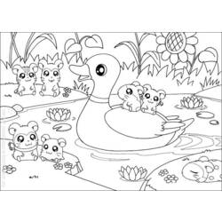 Coloring page: Hamster (Animals) #8109 - Free Printable Coloring Pages