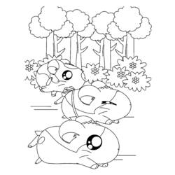 Coloring page: Hamster (Animals) #8110 - Free Printable Coloring Pages