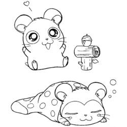 Coloring page: Hamster (Animals) #8116 - Printable coloring pages