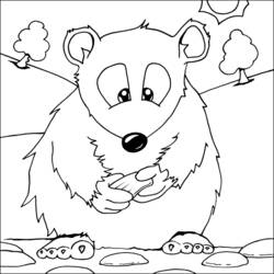 Coloring page: Hamster (Animals) #8118 - Free Printable Coloring Pages
