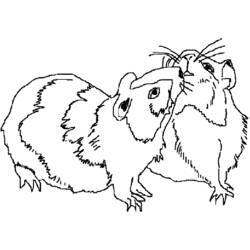 Coloring page: Hamster (Animals) #8127 - Free Printable Coloring Pages