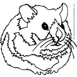 Coloring page: Hamster (Animals) #8139 - Free Printable Coloring Pages