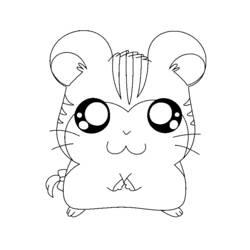 Coloring page: Hamster (Animals) #8150 - Printable coloring pages