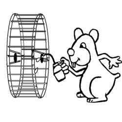 Coloring page: Hamster (Animals) #8155 - Free Printable Coloring Pages