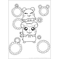 Coloring page: Hamster (Animals) #8179 - Free Printable Coloring Pages