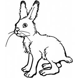 Coloring page: Hare (Animals) #10098 - Printable coloring pages