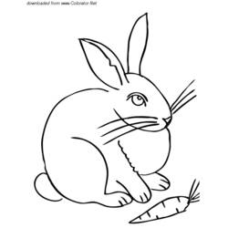 Coloring page: Hare (Animals) #10124 - Printable coloring pages