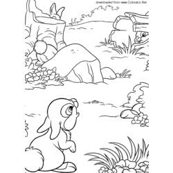 Coloring page: Hare (Animals) #10133 - Printable coloring pages