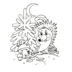 Hedgehog (Animals) coloring page #190574 to print and color