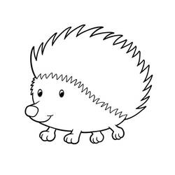 Hedgehog (Animals) coloring page #190579 to print and color