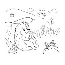 Hedgehog (Animals) coloring page #190582 to print and color