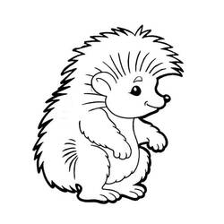 Hedgehog (Animals) coloring page #190584 to print and color