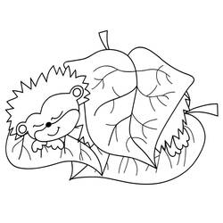 Hedgehog (Animals) coloring page #190594 to print and color
