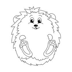 Hedgehog (Animals) coloring page #190597 to print and color