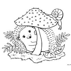 Hedgehog (Animals) coloring page #190609 to print and color