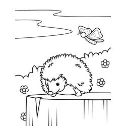 Hedgehog (Animals) coloring page #190612 to print and color