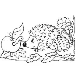Coloring page: Hedgehog (Animals) #8211 - Printable coloring pages