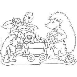 Coloring page: Hedgehog (Animals) #8221 - Free Printable Coloring Pages