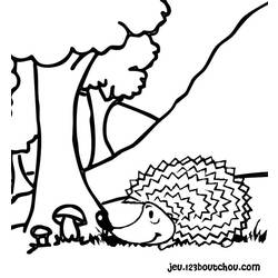 Coloring page: Hedgehog (Animals) #8225 - Printable coloring pages