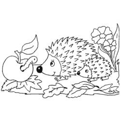 Coloring page: Hedgehog (Animals) #8227 - Printable coloring pages