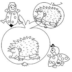 Coloring page: Hedgehog (Animals) #8258 - Free Printable Coloring Pages