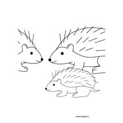 Coloring page: Hedgehog (Animals) #8261 - Printable coloring pages