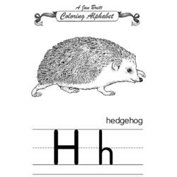 Coloring page: Hedgehog (Animals) #8310 - Free Printable Coloring Pages