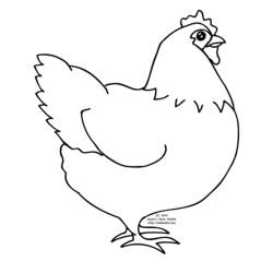 Coloring pages: Hen - Free Printable Coloring Pages