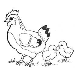 Coloring page: Hen (Animals) #17438 - Free Printable Coloring Pages