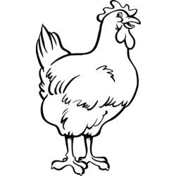 Coloring page: Hen (Animals) #17443 - Printable coloring pages