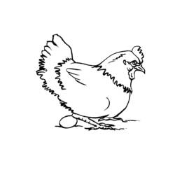 Coloring page: Hen (Animals) #17463 - Printable coloring pages