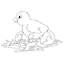 Coloring page: Hen (Animals) #17481 - Free Printable Coloring Pages