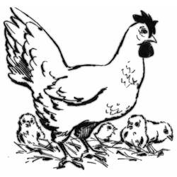 Coloring page: Hen (Animals) #17603 - Free Printable Coloring Pages