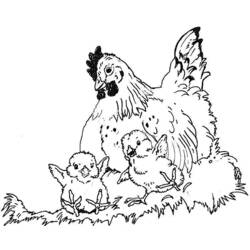 Coloring page: Hen (Animals) #17620 - Free Printable Coloring Pages