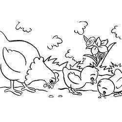 Coloring pages: Hen and Chick - Free Printable Coloring Pages