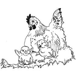 Hen and Chick (Animals) coloring page #193183 to print and color
