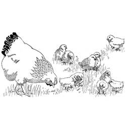Hen and Chick (Animals) coloring page #193202 to print and color