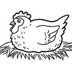 Hen and Chick (Animals) coloring page #193205 to print and color