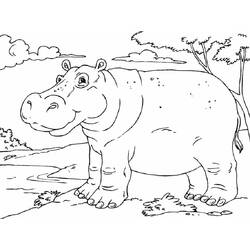 Hippopotamus (Animals) coloring page #188976 to print and color