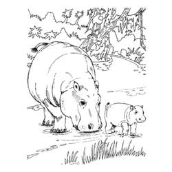 Coloring page: Hippopotamus (Animals) #8611 - Free Printable Coloring Pages