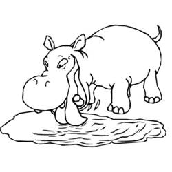 Coloring page: Hippopotamus (Animals) #8619 - Free Printable Coloring Pages