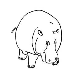 Coloring page: Hippopotamus (Animals) #8636 - Free Printable Coloring Pages