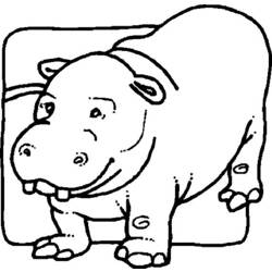 Coloring page: Hippopotamus (Animals) #8682 - Free Printable Coloring Pages