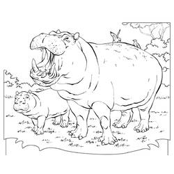 Coloring page: Hippopotamus (Animals) #8690 - Printable coloring pages