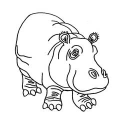 Coloring page: Hippopotamus (Animals) #8726 - Printable coloring pages