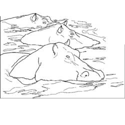 Coloring page: Hippopotamus (Animals) #8727 - Free Printable Coloring Pages