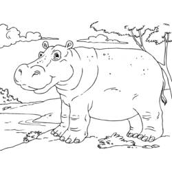 Coloring page: Hippopotamus (Animals) #8735 - Printable coloring pages