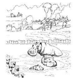 Coloring page: Hippopotamus (Animals) #8737 - Free Printable Coloring Pages