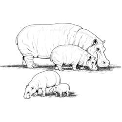Coloring page: Hippopotamus (Animals) #8757 - Free Printable Coloring Pages