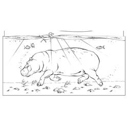 Coloring page: Hippopotamus (Animals) #8766 - Free Printable Coloring Pages